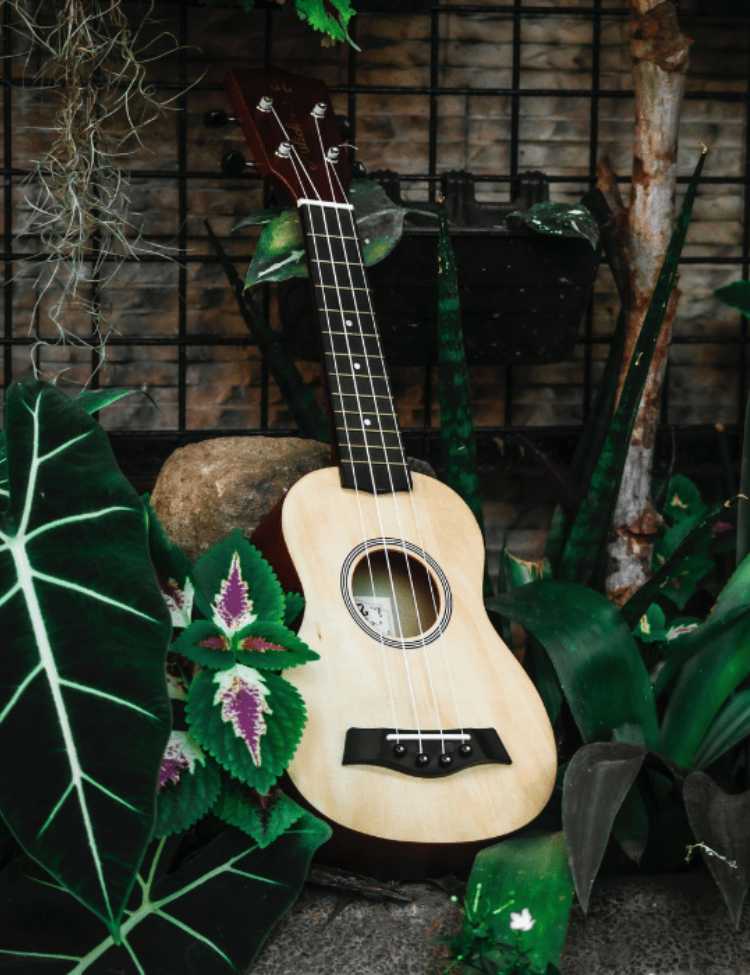 A guitar leaning against a stone surrounding leaves.